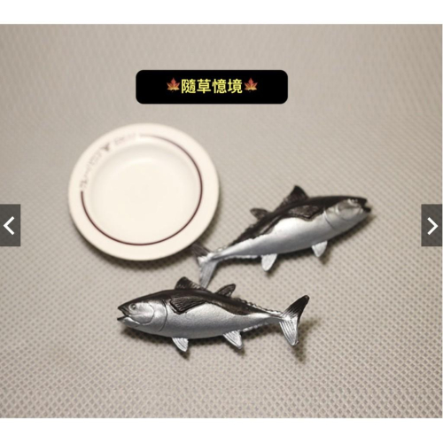 仿真 微縮模型 迷你版小號 盤子碟 咸魚 馬鮫魚 烤魚 煎魚 微景配件 擺件 食玩