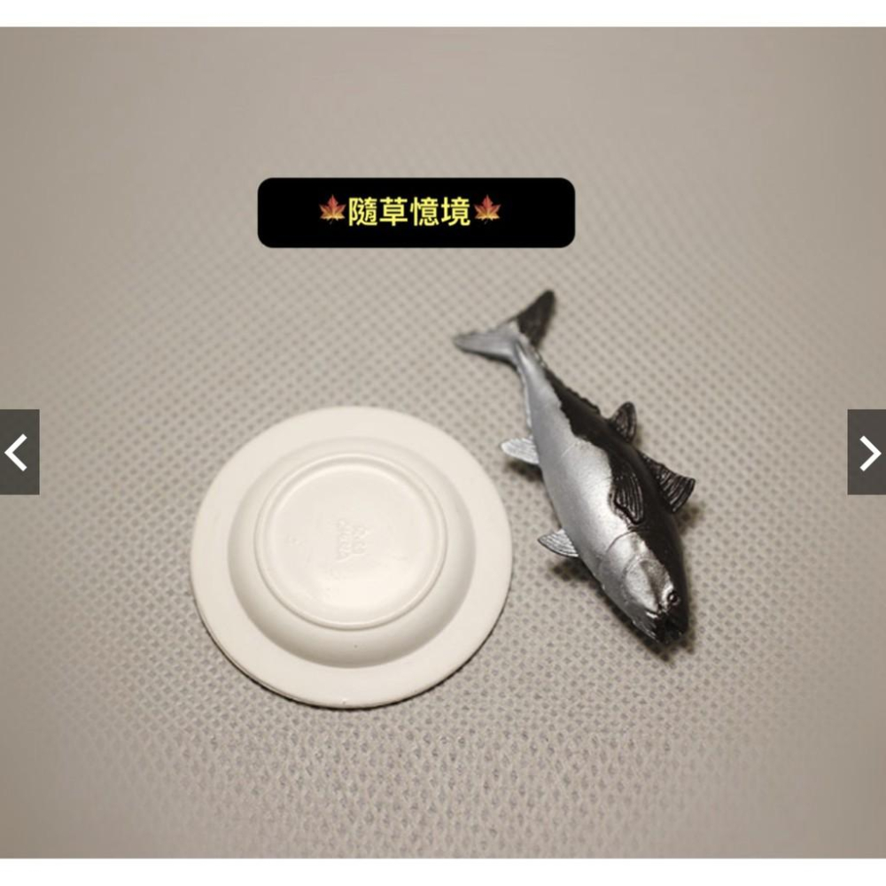 仿真 微縮模型 迷你版小號 盤子碟 咸魚 馬鮫魚 烤魚 煎魚 微景配件 擺件 食玩-細節圖5