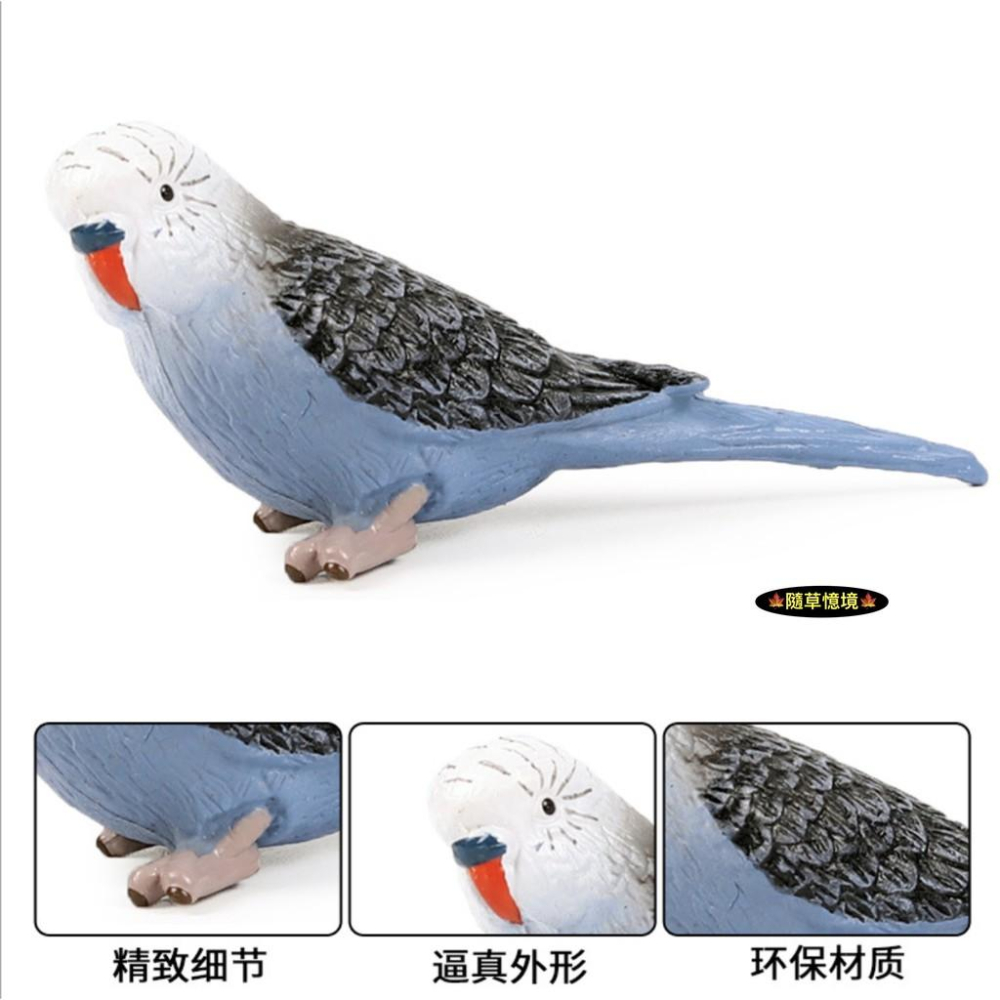 （2色款）仿真 藍色鸚鵡 鸚鵡 鸚哥 鳥類 飛禽 小鳥 鳥 動物模型 野生動物 兒童玩具 益智 SPG-細節圖2