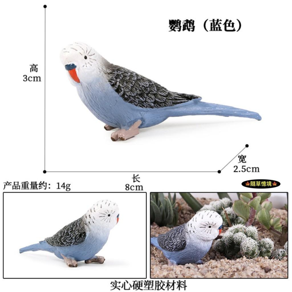 （2色款）仿真 藍色鸚鵡 鸚鵡 鸚哥 鳥類 飛禽 小鳥 鳥 動物模型 野生動物 兒童玩具 益智 SPG-細節圖4