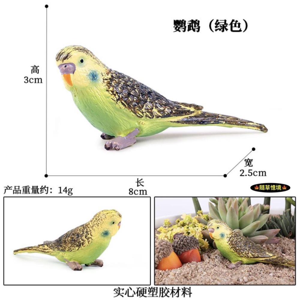 （2色款）仿真 藍色鸚鵡 鸚鵡 鸚哥 鳥類 飛禽 小鳥 鳥 動物模型 野生動物 兒童玩具 益智 SPG-細節圖5