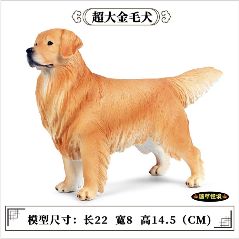 （3款大號實心高品質畫工）仿真 黃金獵犬 金毛 獵犬 導盲犬 小狗 狗狗 動物模型 野生動物 兒童玩具 益智 SPG-細節圖2