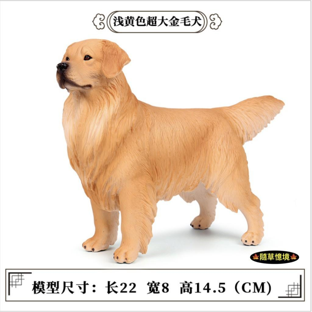 （3款大號實心高品質畫工）仿真 黃金獵犬 金毛 獵犬 導盲犬 小狗 狗狗 動物模型 野生動物 兒童玩具 益智 SPG-細節圖3