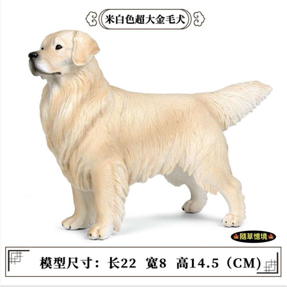 （3款大號實心高品質畫工）仿真 黃金獵犬 金毛 獵犬 導盲犬 小狗 狗狗 動物模型 野生動物 兒童玩具 益智 SPG-細節圖4