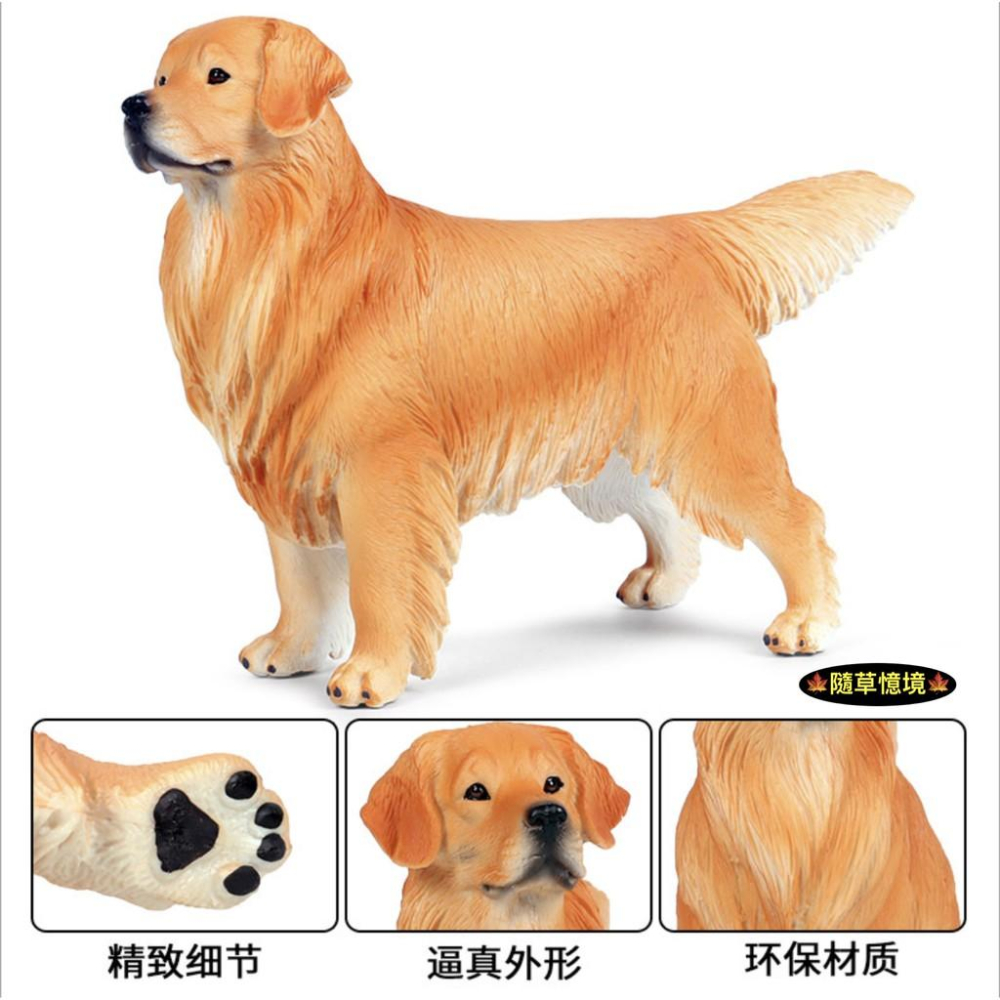 （3款大號實心高品質畫工）仿真 黃金獵犬 金毛 獵犬 導盲犬 小狗 狗狗 動物模型 野生動物 兒童玩具 益智 SPG-細節圖5