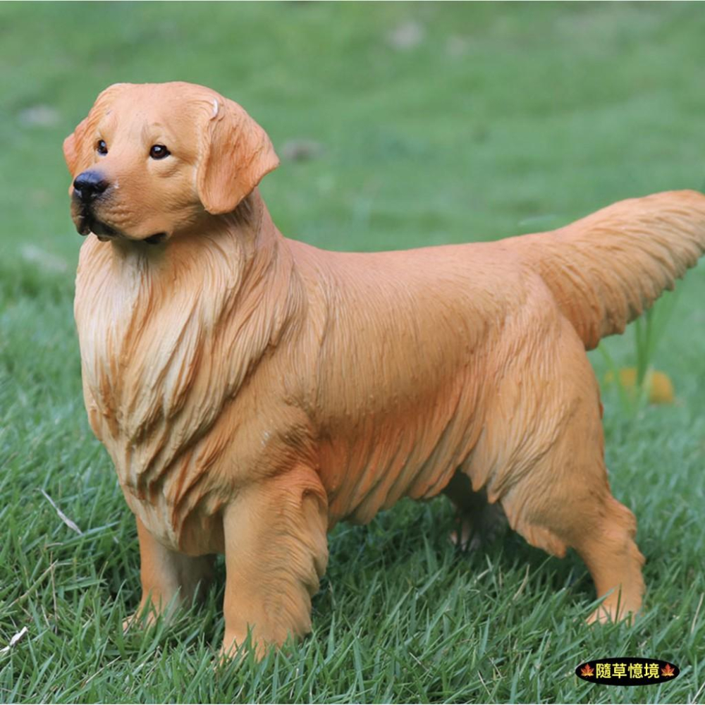 （3款大號實心高品質畫工）仿真 黃金獵犬 金毛 獵犬 導盲犬 小狗 狗狗 動物模型 野生動物 兒童玩具 益智 SPG-細節圖6