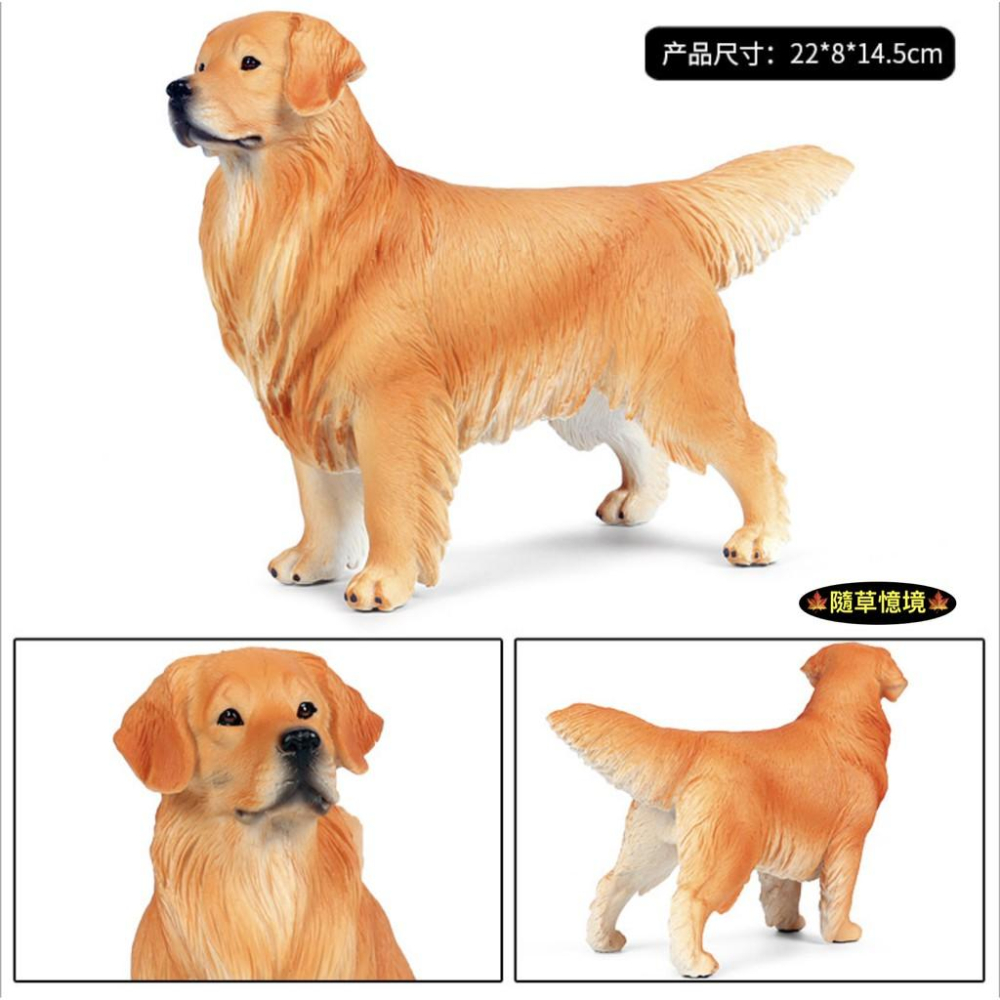 （3款大號實心高品質畫工）仿真 黃金獵犬 金毛 獵犬 導盲犬 小狗 狗狗 動物模型 野生動物 兒童玩具 益智 SPG-細節圖9
