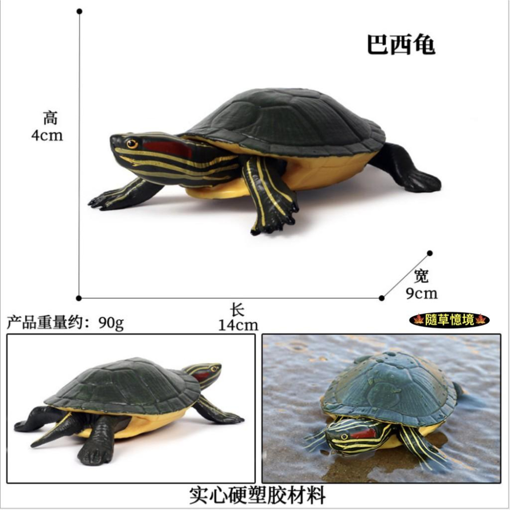 （多款高品質畫工）綠蠵龜 烏龜 海龜 象龜 龜 巴西龜 仿真 動物模型 野生動物 兒童玩具 益智 公仔 SPG-細節圖6