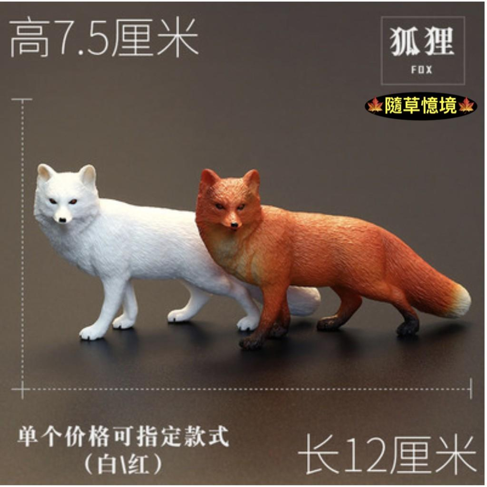 （2款高品質畫工）仿真 狐狸 大白狐 大紅狐 白狐狸 紅狐狸 動物模型 野生動物 兒童玩具 益智 SPG-細節圖2