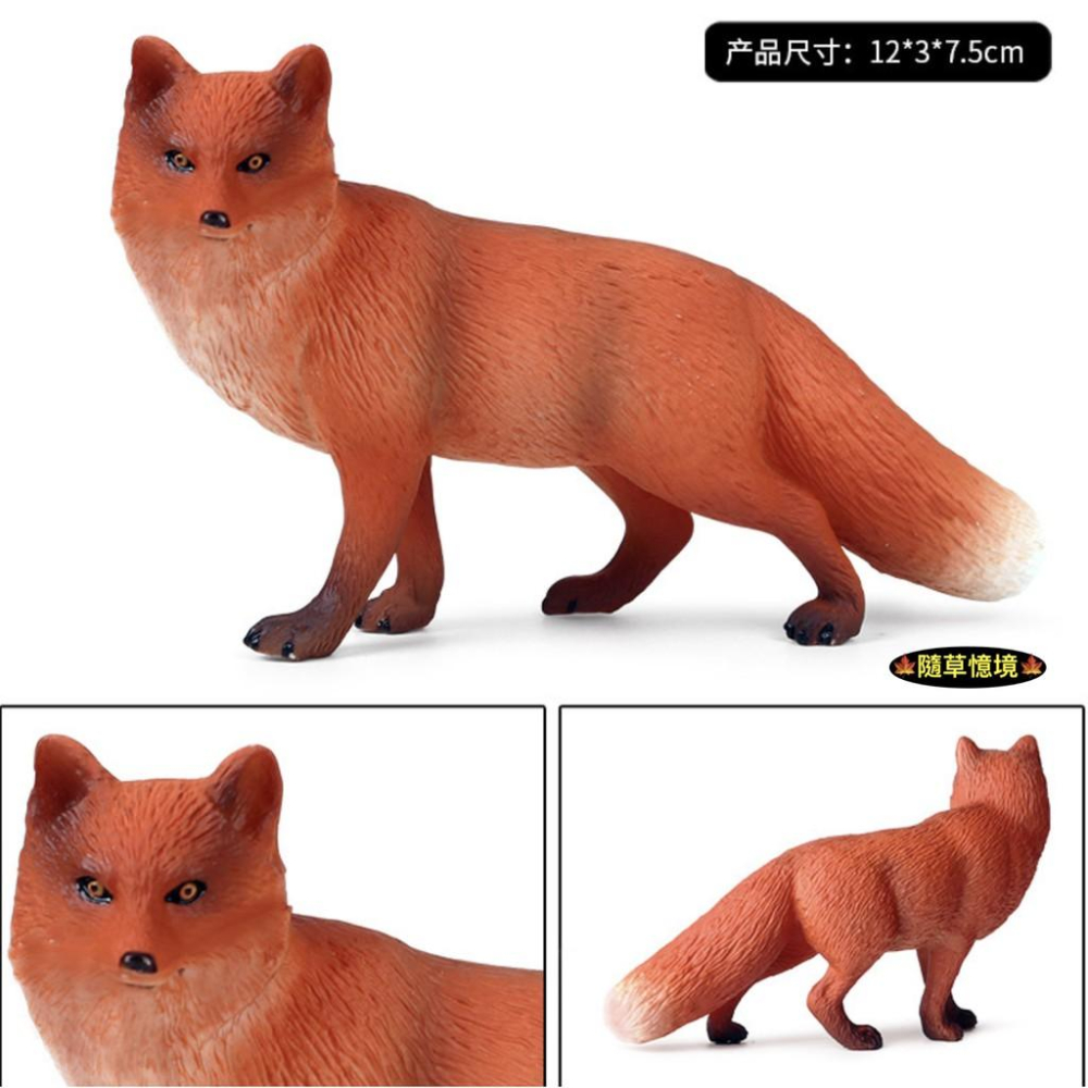 （2款高品質畫工）仿真 狐狸 大白狐 大紅狐 白狐狸 紅狐狸 動物模型 野生動物 兒童玩具 益智 SPG-細節圖4