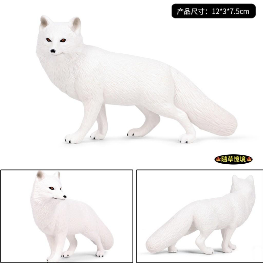 （2款高品質畫工）仿真 狐狸 大白狐 大紅狐 白狐狸 紅狐狸 動物模型 野生動物 兒童玩具 益智 SPG-細節圖6