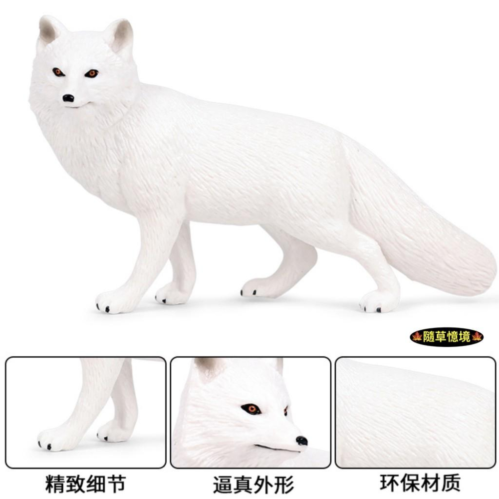 （2款高品質畫工）仿真 狐狸 大白狐 大紅狐 白狐狸 紅狐狸 動物模型 野生動物 兒童玩具 益智 SPG-細節圖7