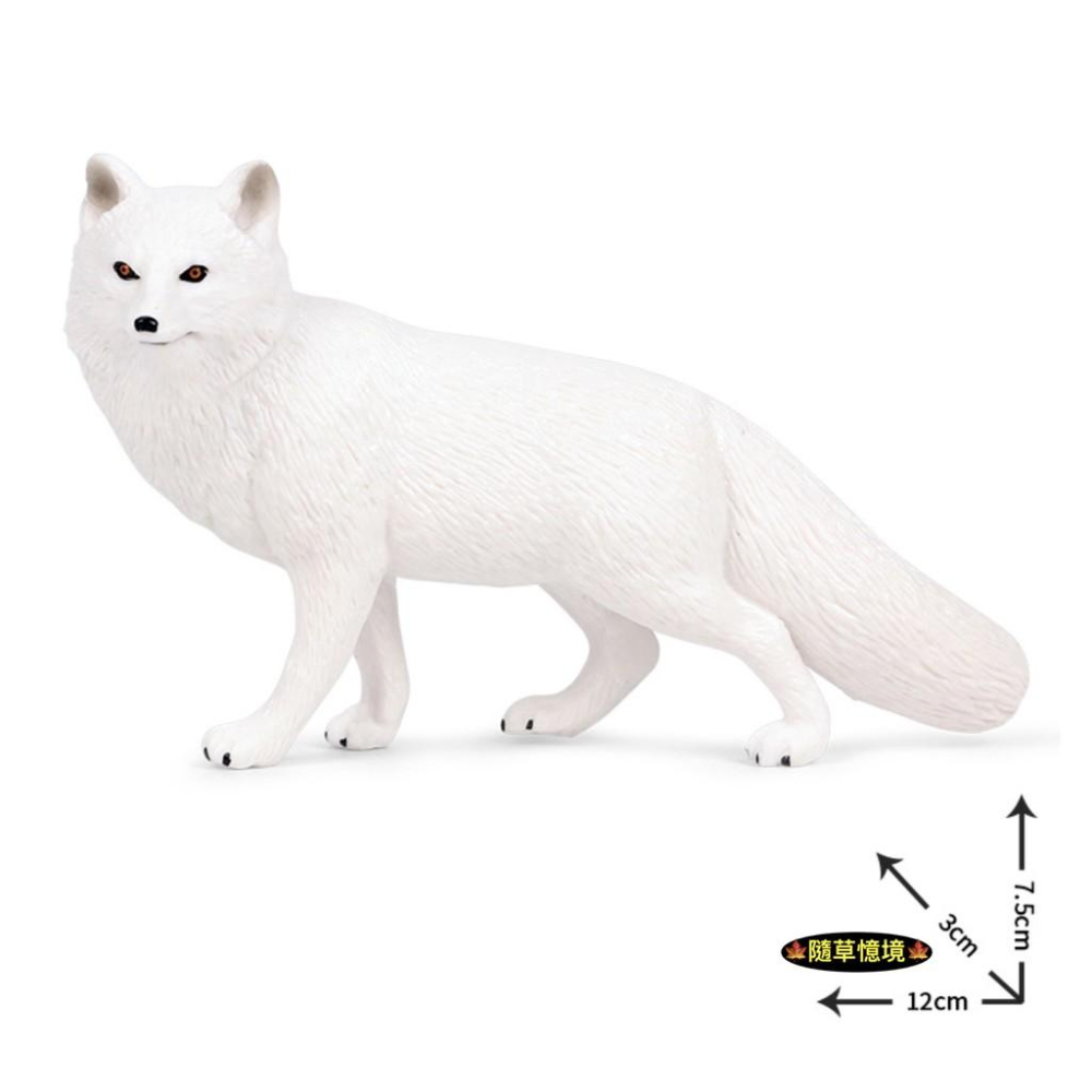 （2款高品質畫工）仿真 狐狸 大白狐 大紅狐 白狐狸 紅狐狸 動物模型 野生動物 兒童玩具 益智 SPG-細節圖8