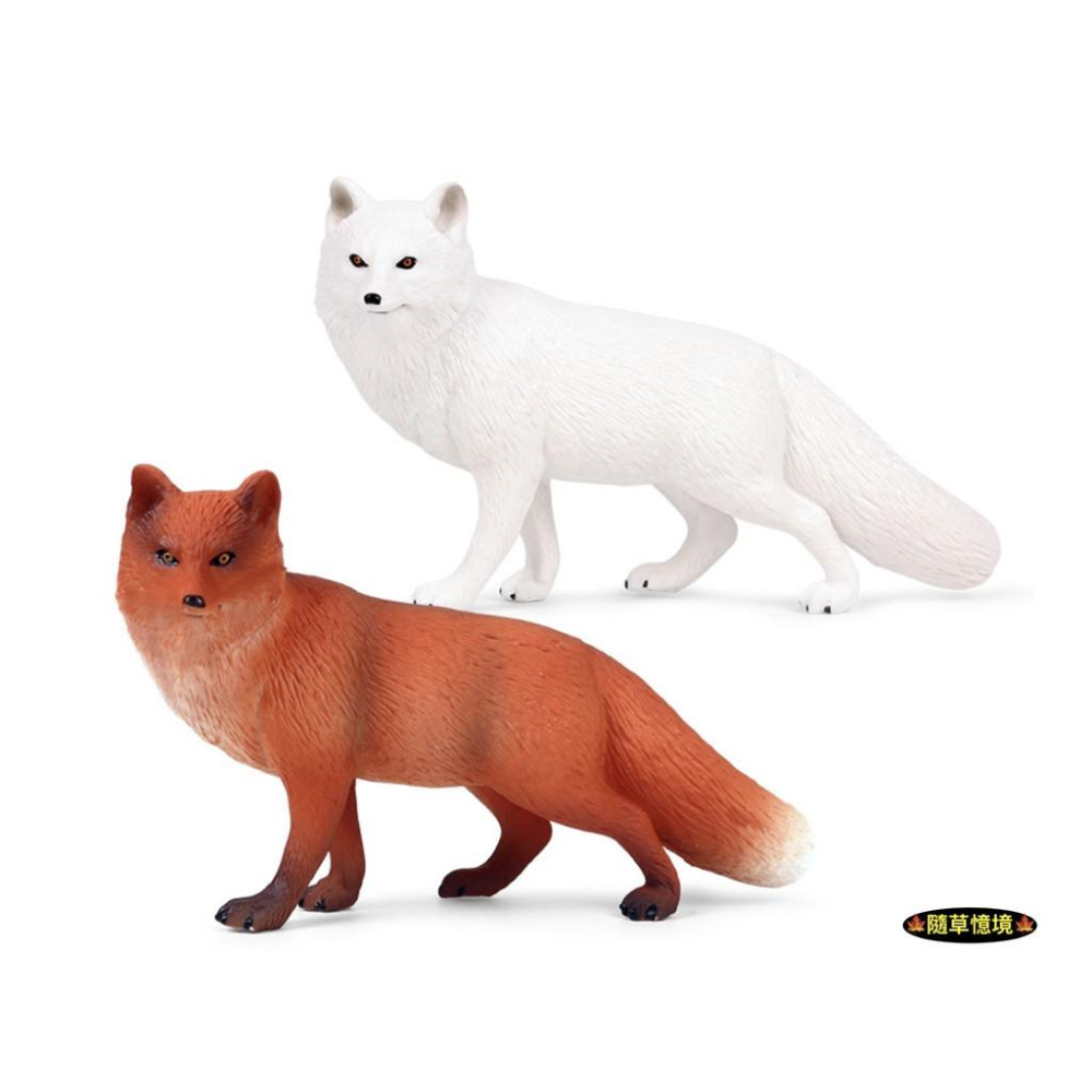 （2款高品質畫工）仿真 狐狸 大白狐 大紅狐 白狐狸 紅狐狸 動物模型 野生動物 兒童玩具 益智 SPG-細節圖9