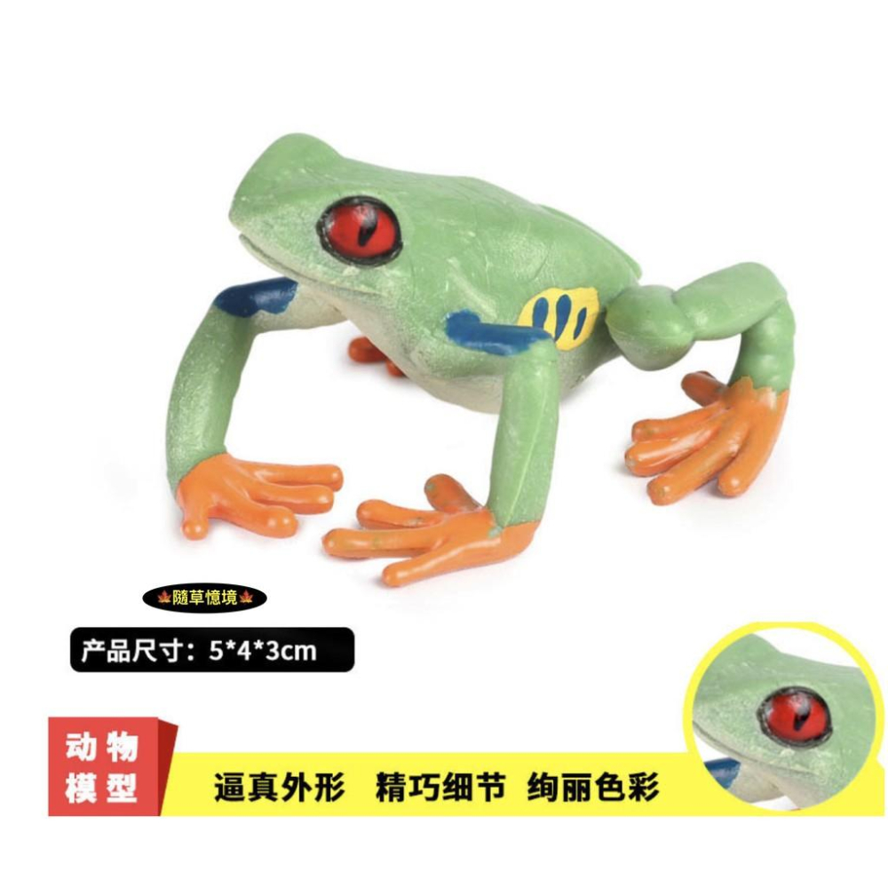 （2款）仿真 青蛙 樹蛙 田雞 蟾蜍 紅箭 毒蛙 動物模型 野生動物 兒童玩具 益智 公仔 SPG-細節圖2
