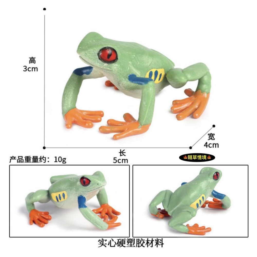 （2款）仿真 青蛙 樹蛙 田雞 蟾蜍 紅箭 毒蛙 動物模型 野生動物 兒童玩具 益智 公仔 SPG-細節圖4