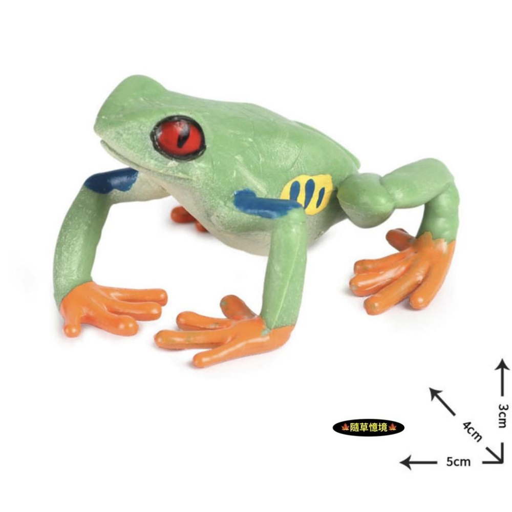 （2款）仿真 青蛙 樹蛙 田雞 蟾蜍 紅箭 毒蛙 動物模型 野生動物 兒童玩具 益智 公仔 SPG-細節圖5