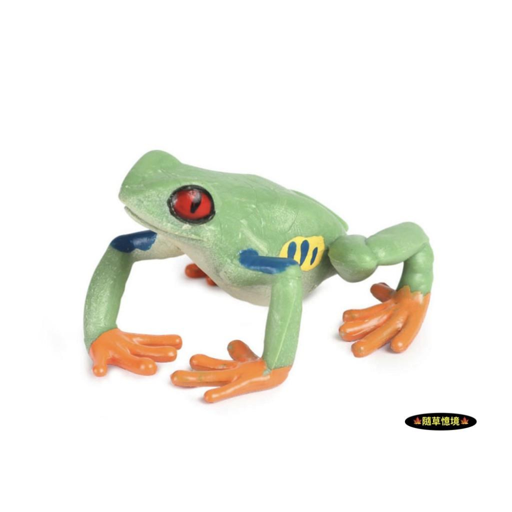 （2款）仿真 青蛙 樹蛙 田雞 蟾蜍 紅箭 毒蛙 動物模型 野生動物 兒童玩具 益智 公仔 SPG-細節圖6