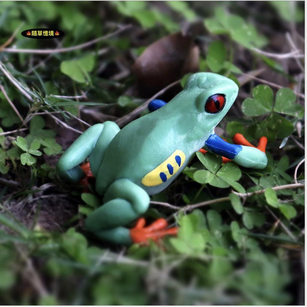 （2款）仿真 青蛙 樹蛙 田雞 蟾蜍 紅箭 毒蛙 動物模型 野生動物 兒童玩具 益智 公仔 SPG-細節圖7