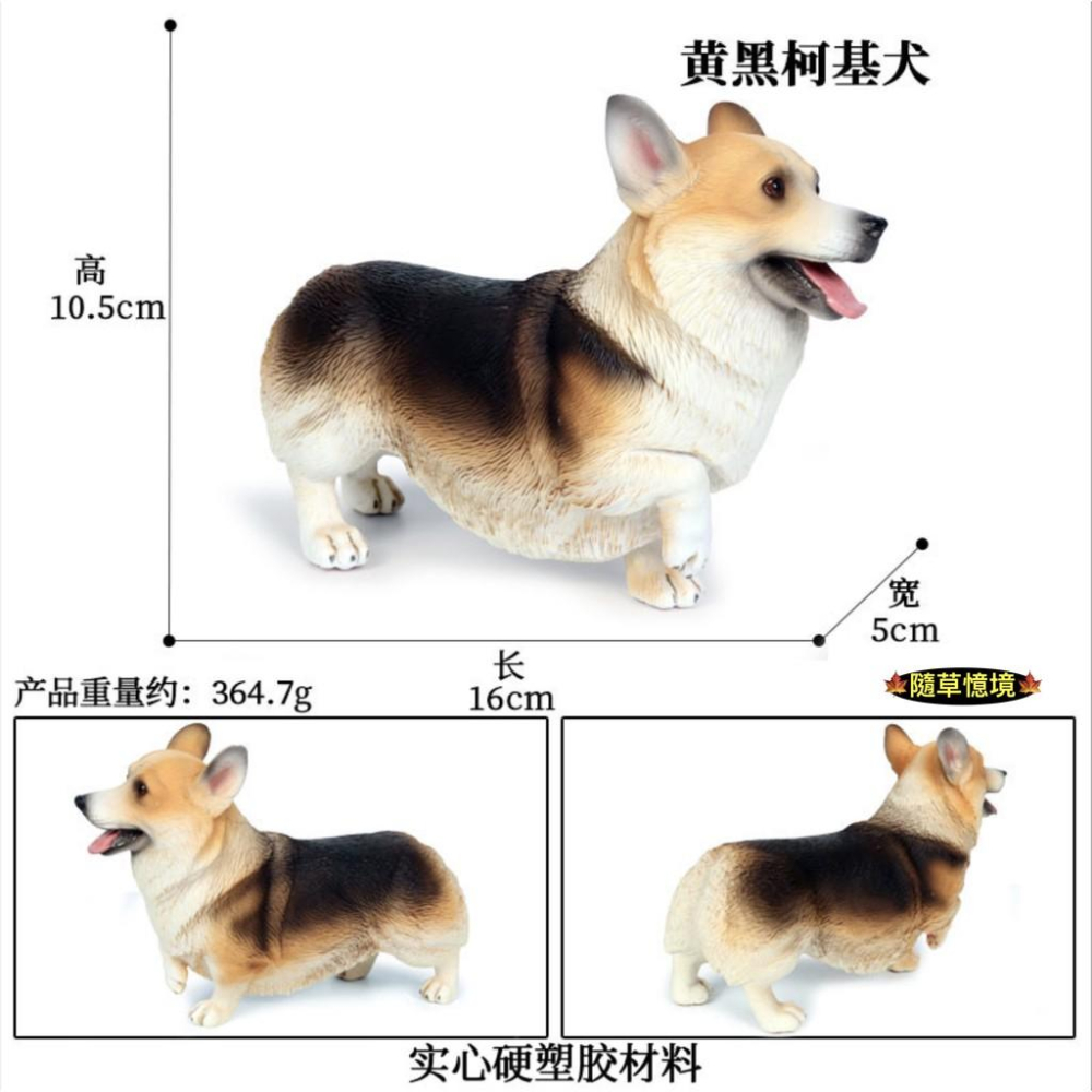 （16cm實心高品質畫工）仿真 柯基 狗狗 柯基犬 小狗 動物模型 野生動物 兒童玩具 益智 公仔 SPG-細節圖5