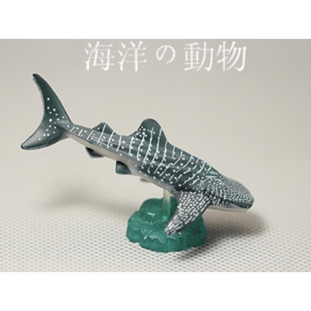 （12款）海洋動物 魟魚 鯊 鯨鯊 鯨魚 魷魚 小卷 蟹 魔鬼魚 海鷗 旗魚 神仙魚 鮪魚 模型 spg-細節圖5