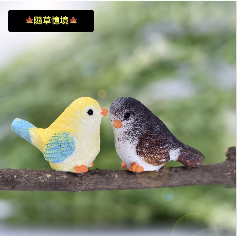 8色 小鳥 麻雀 鳥窩 彩色鳥 動物 鳥 可愛卡通 擺件 微景觀 多肉 園藝植物 盆栽 配件 樹脂工藝品擺件-細節圖3
