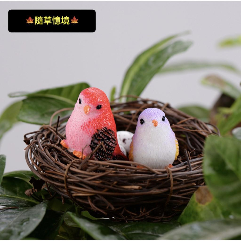 8色 小鳥 麻雀 鳥窩 彩色鳥 動物 鳥 可愛卡通 擺件 微景觀 多肉 園藝植物 盆栽 配件 樹脂工藝品擺件-細節圖4