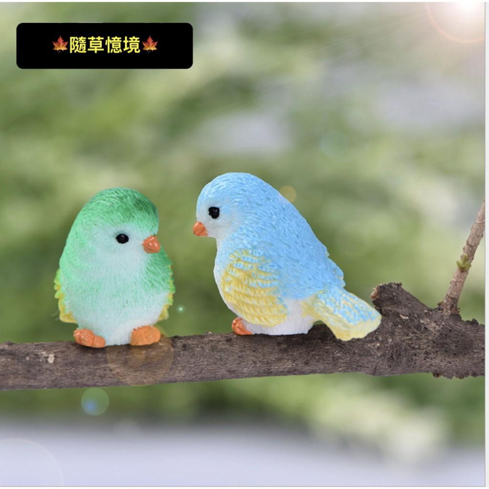 8色 小鳥 麻雀 鳥窩 彩色鳥 動物 鳥 可愛卡通 擺件 微景觀 多肉 園藝植物 盆栽 配件 樹脂工藝品擺件-細節圖5