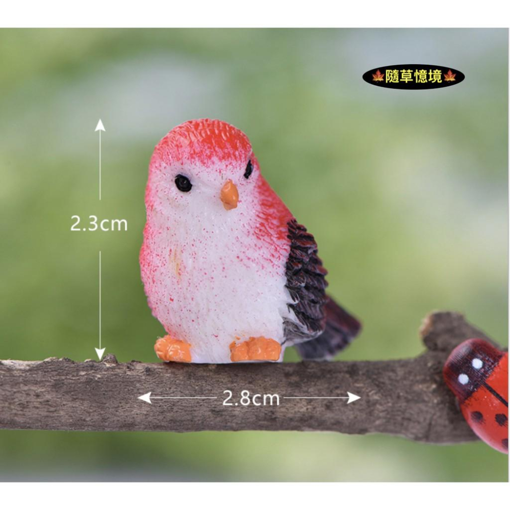 8色 小鳥 麻雀 鳥窩 彩色鳥 動物 鳥 可愛卡通 擺件 微景觀 多肉 園藝植物 盆栽 配件 樹脂工藝品擺件-細節圖7