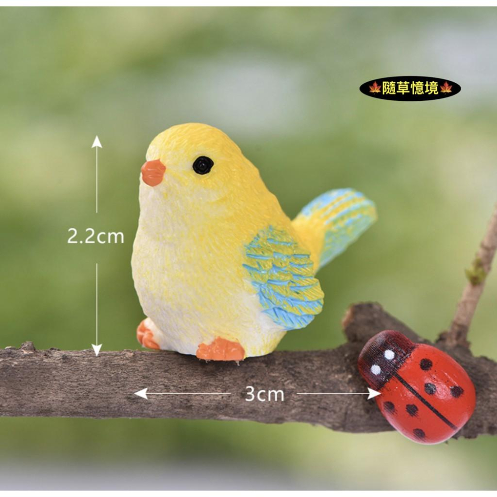 8色 小鳥 麻雀 鳥窩 彩色鳥 動物 鳥 可愛卡通 擺件 微景觀 多肉 園藝植物 盆栽 配件 樹脂工藝品擺件-細節圖8