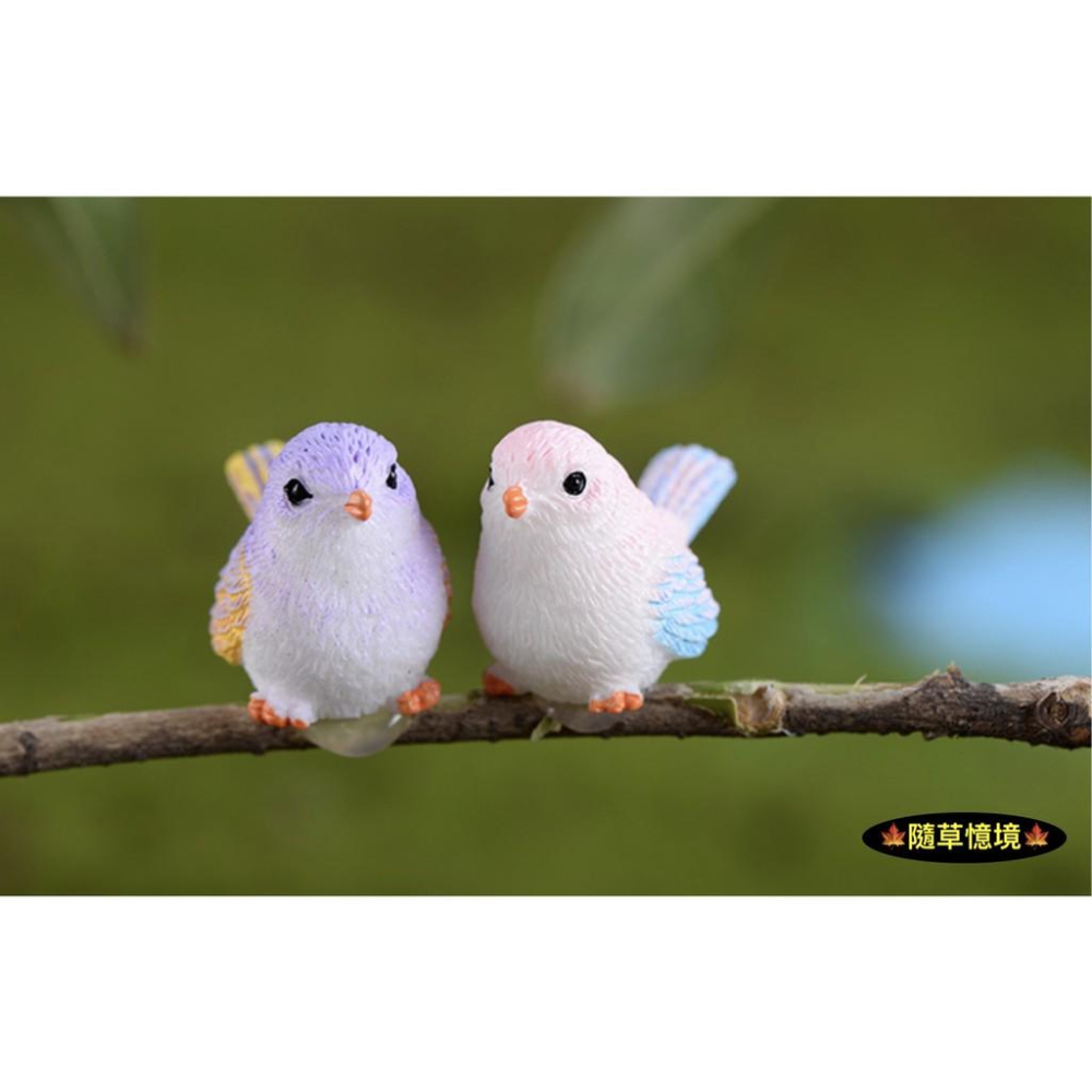 8色 小鳥 麻雀 鳥窩 彩色鳥 動物 鳥 可愛卡通 擺件 微景觀 多肉 園藝植物 盆栽 配件 樹脂工藝品擺件-細節圖9