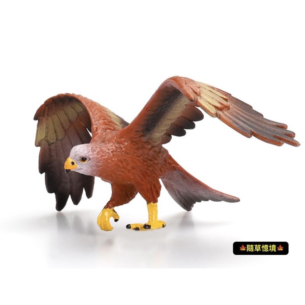 仿真 展翅雄鷹 老鷹 鳥 鳥禽 飛行英姿 動物模型 野生動物 兒童玩具 益智 公仔 SPG-細節圖2