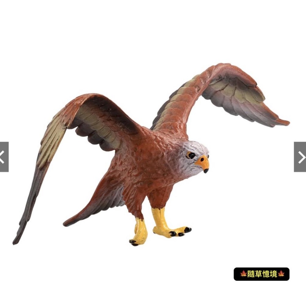 仿真 展翅雄鷹 老鷹 鳥 鳥禽 飛行英姿 動物模型 野生動物 兒童玩具 益智 公仔 SPG-細節圖4