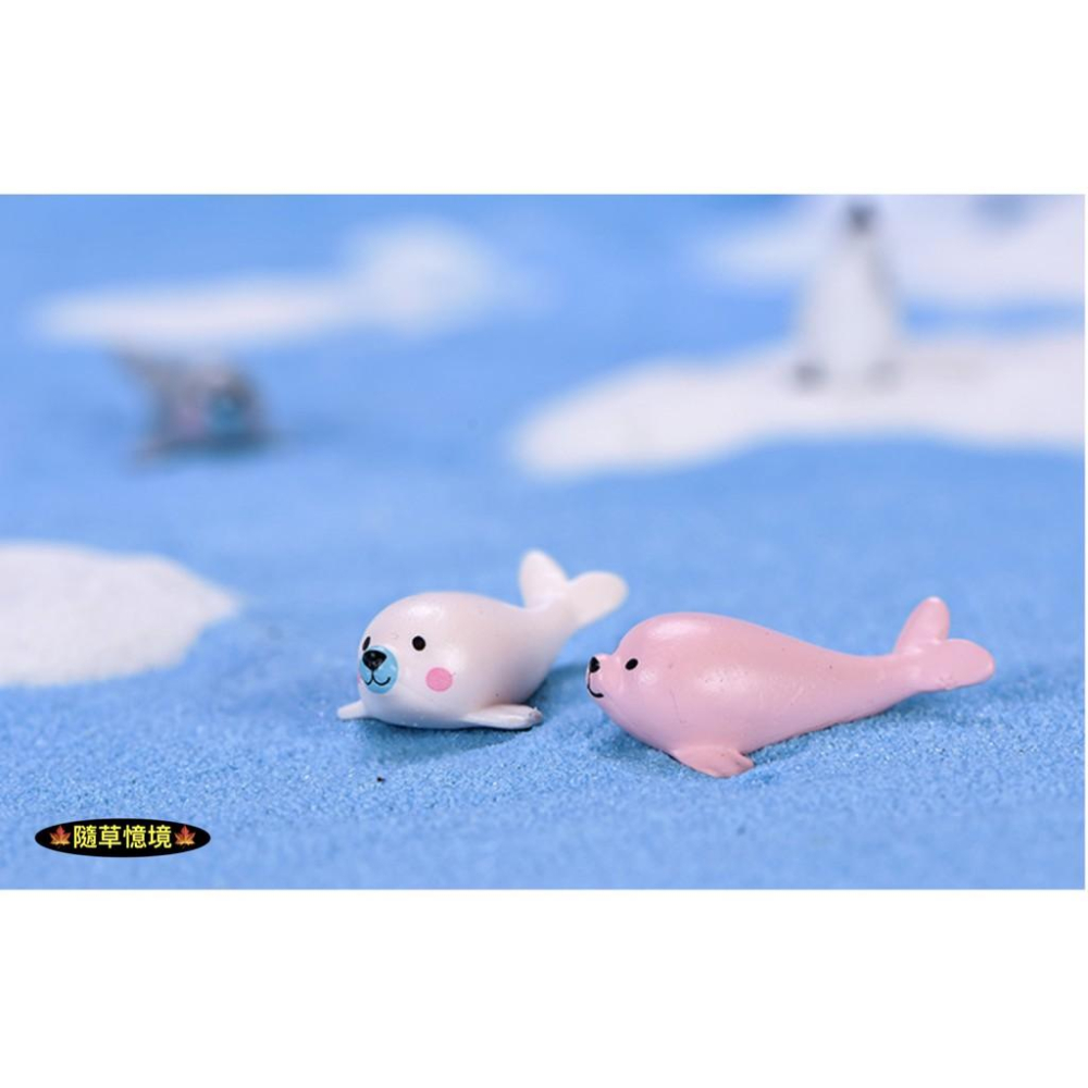 小海豹 海豹 海洋動物 魚缸擺件 可愛 動物 卡通微景觀 diy 盆景 海洋造景 pvc 塑料 配件-細節圖9