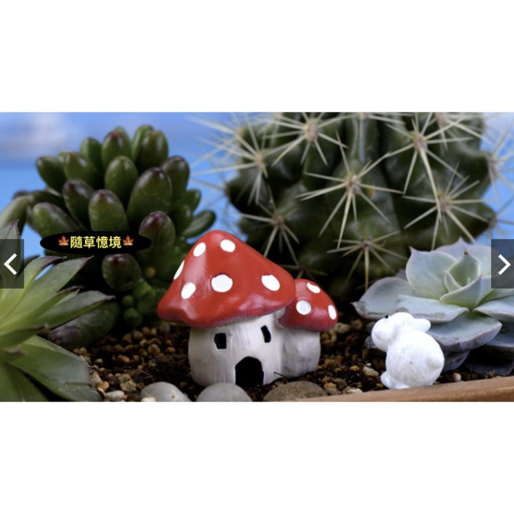 （4色款）地中海風格 雙蘑菇 房屋 房子 蘑菇屋 蘑菇房 城堡 蘑菇 苔蘚微景觀擺件 造景擺件飾品-細節圖4