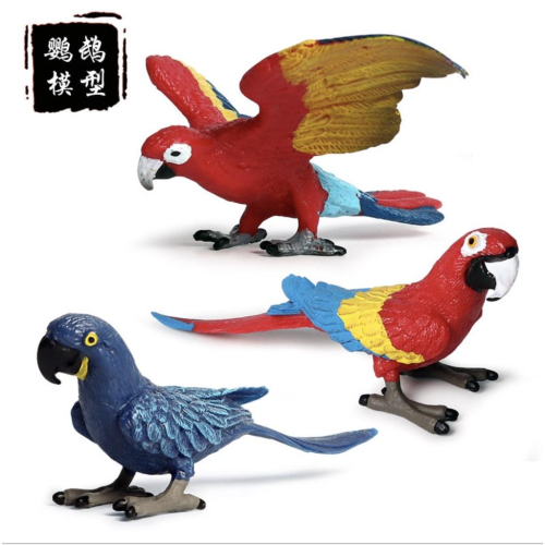 （2款紅色）SPG 正版 金剛鸚鵡 美洲鸚鵡 鸚鵡 鳥禽 鳥 鳥類 仿真動物模型 野生動物 兒童玩具 益智