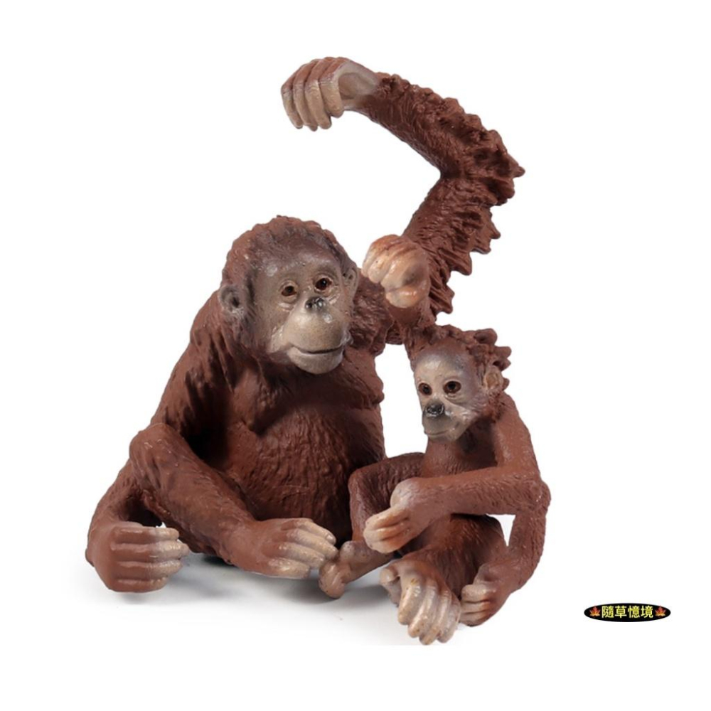 （全套5款）紅毛猩猩 猩猩 人猿 長臂猿 大猩猩 仿真 動物模型 野生動物 兒童 益智 玩具 模型 SPG-細節圖2