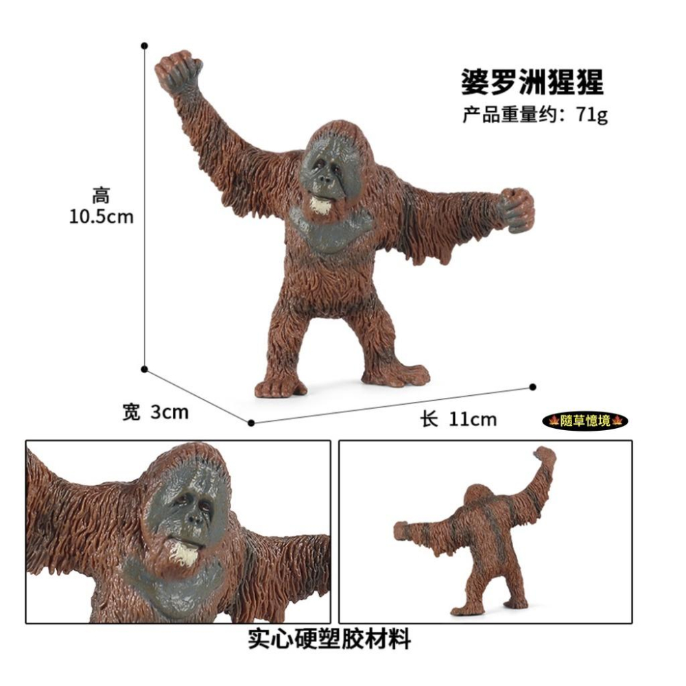 （全套5款）紅毛猩猩 猩猩 人猿 長臂猿 大猩猩 仿真 動物模型 野生動物 兒童 益智 玩具 模型 SPG-細節圖7