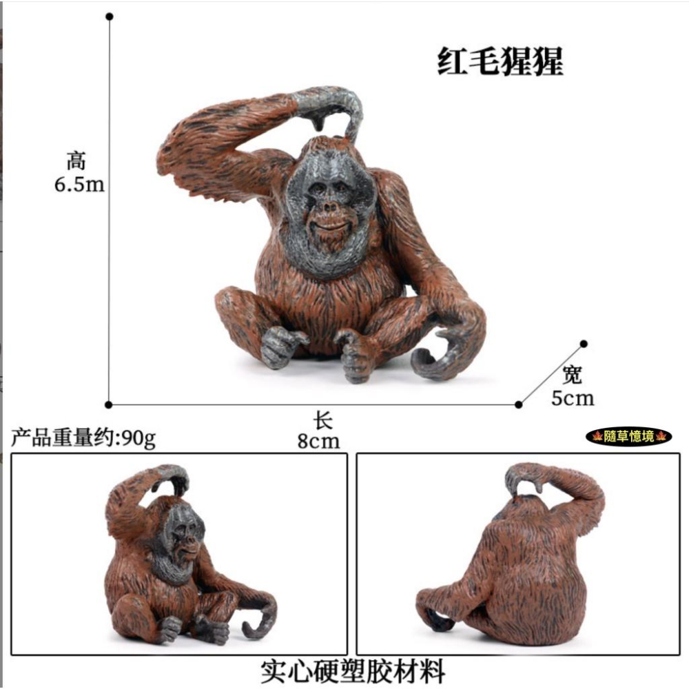 （全套5款）紅毛猩猩 猩猩 人猿 長臂猿 大猩猩 仿真 動物模型 野生動物 兒童 益智 玩具 模型 SPG-細節圖9