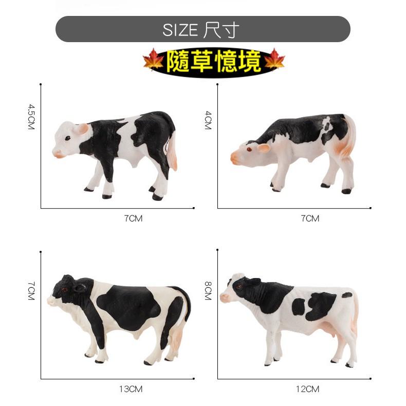 （5款）仿真 西門塔爾 乳牛 黑斑奶牛 奶牛 牛 動物模型 野生動物 兒童玩具 益智 公仔 SPG-細節圖9