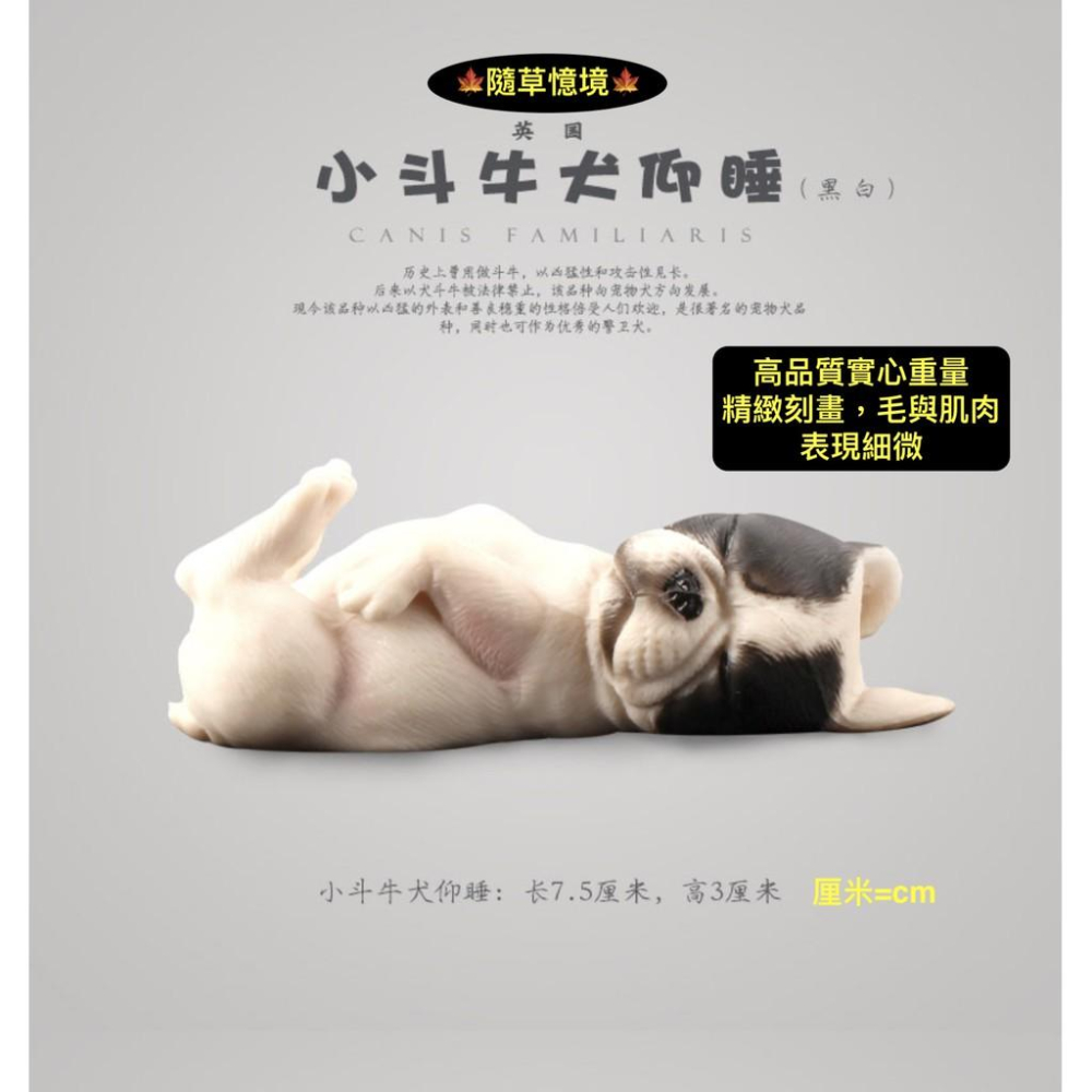 （多款）極度仿真珍藏 英國 鬥牛犬 小鬥牛犬 法國鬥牛犬 小狗 實心毛髮肌肉線條展現 仿真動物 狗狗 模型 寵物狗-細節圖2