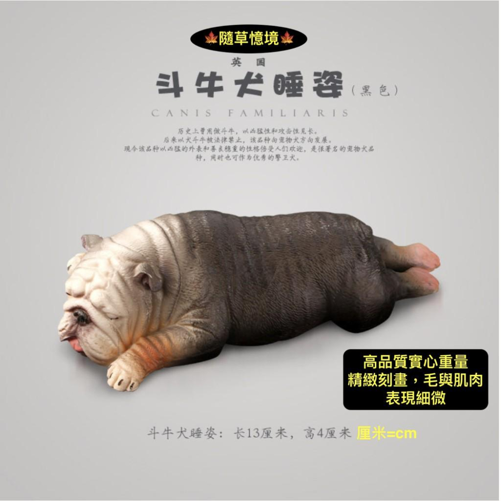 （多款）極度仿真珍藏 英國 鬥牛犬 小鬥牛犬 法國鬥牛犬 小狗 實心毛髮肌肉線條展現 仿真動物 狗狗 模型 寵物狗-細節圖3