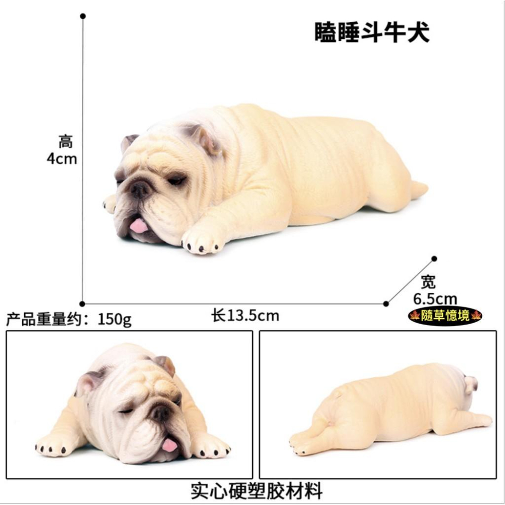 （多款）極度仿真珍藏 英國 鬥牛犬 小鬥牛犬 法國鬥牛犬 小狗 實心毛髮肌肉線條展現 仿真動物 狗狗 模型 寵物狗-細節圖4