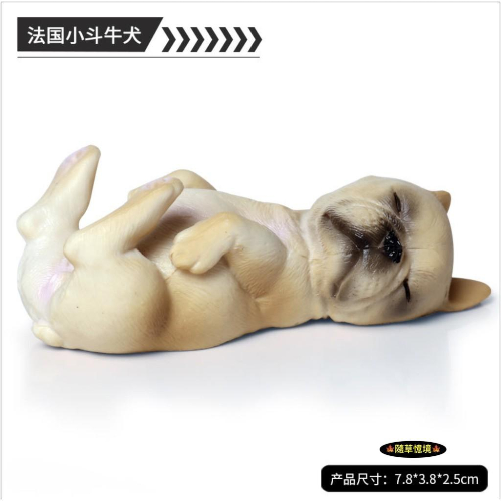 （多款）極度仿真珍藏 英國 鬥牛犬 小鬥牛犬 法國鬥牛犬 小狗 實心毛髮肌肉線條展現 仿真動物 狗狗 模型 寵物狗-細節圖6