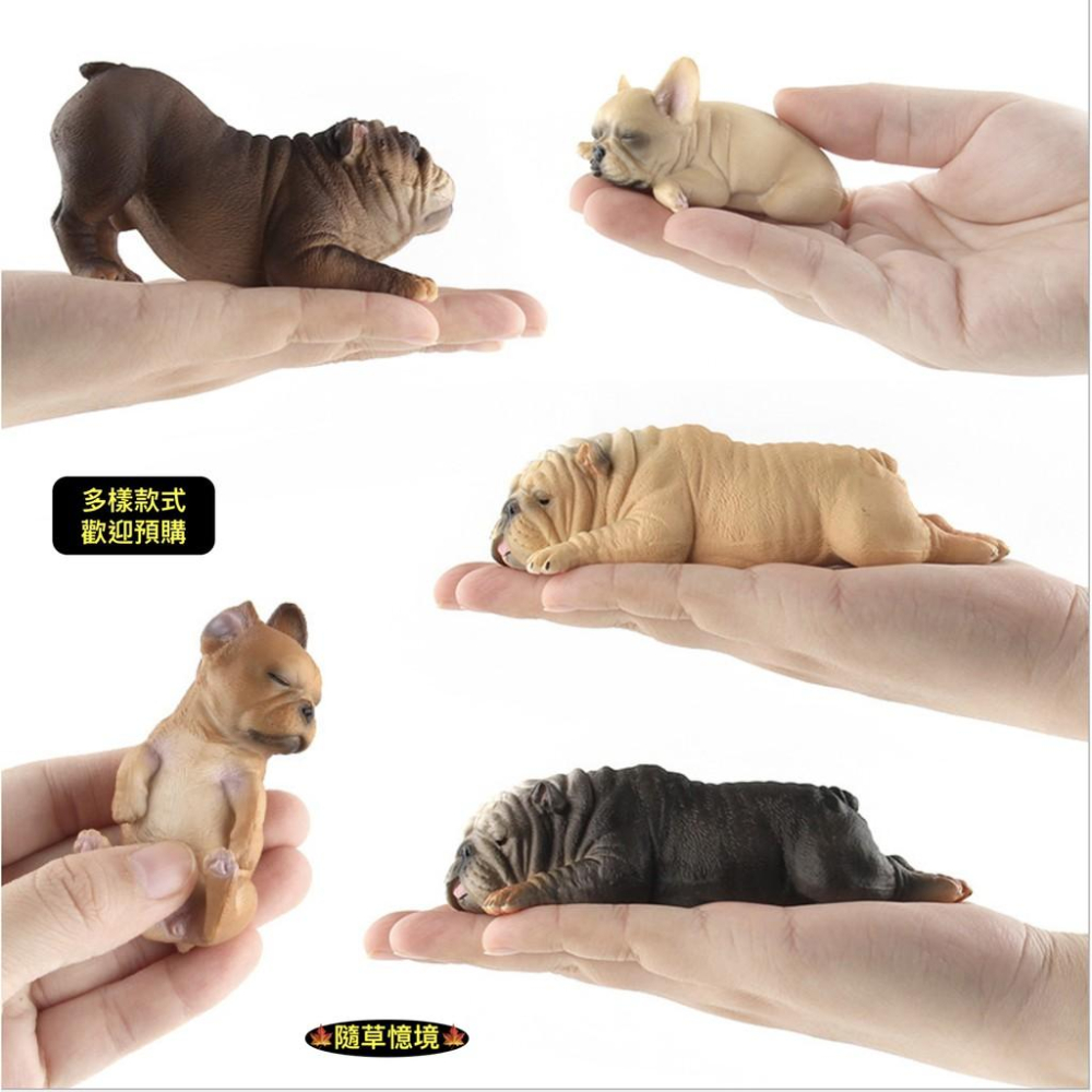 （多款）極度仿真珍藏 英國 鬥牛犬 小鬥牛犬 法國鬥牛犬 小狗 實心毛髮肌肉線條展現 仿真動物 狗狗 模型 寵物狗-細節圖8