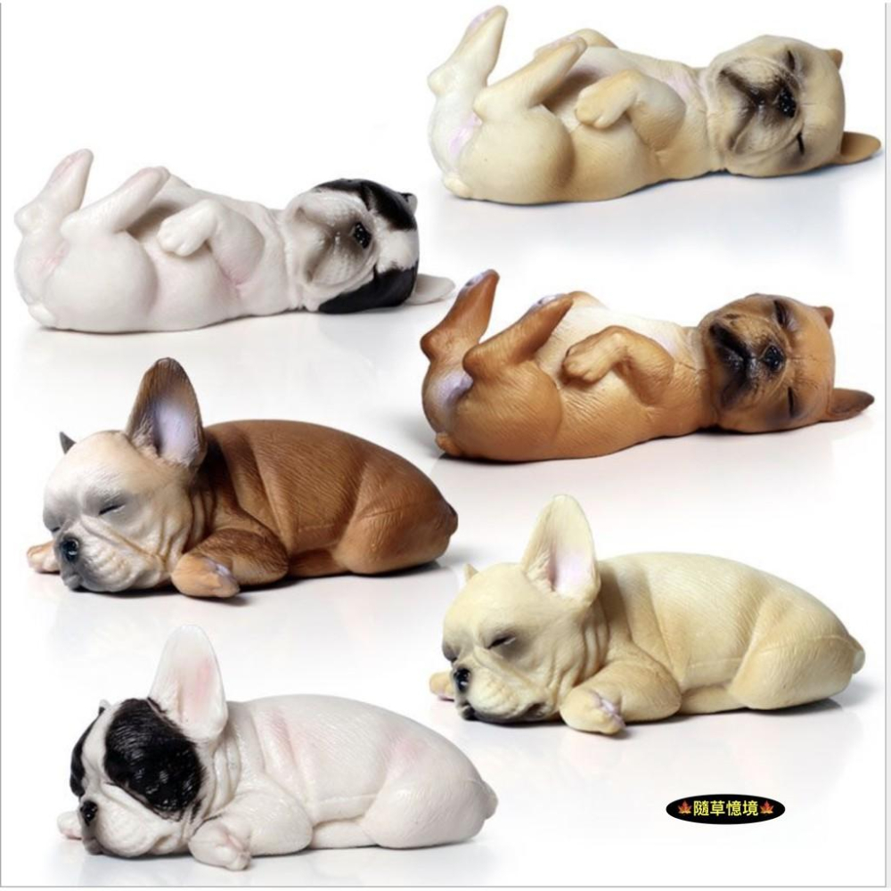 （多款）極度仿真珍藏 英國 鬥牛犬 小鬥牛犬 法國鬥牛犬 小狗 實心毛髮肌肉線條展現 仿真動物 狗狗 模型 寵物狗-細節圖9
