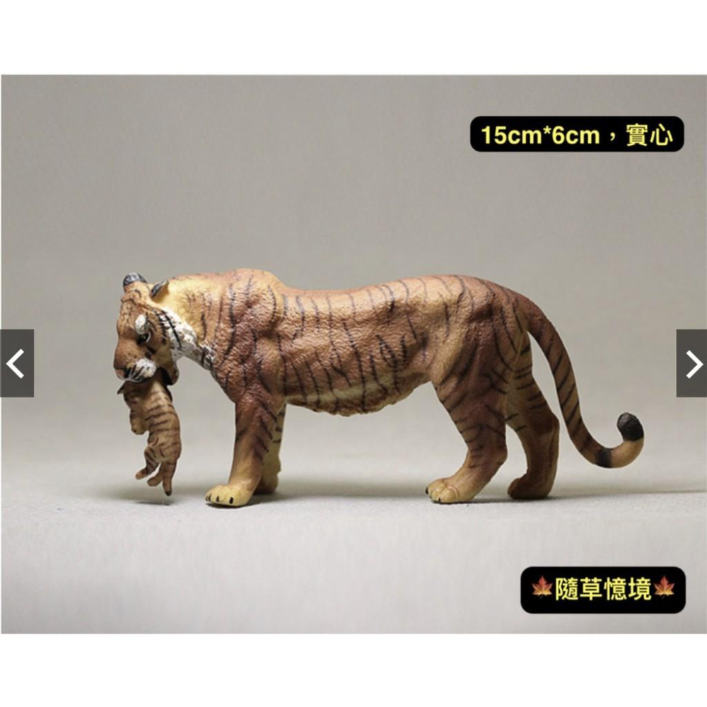 （神情仿真）SPG 正版 虎叼幼子 老虎 虎王 親子老虎 仿真 動物模型 野生動物 兒童玩具 益智 公仔-細節圖2