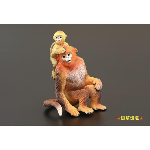 （高品質畫工）仿真 金絲猴 猴子 猴 靈長類 猿類 動物模型 野生動物 兒童玩具 益智 公仔 SPG
