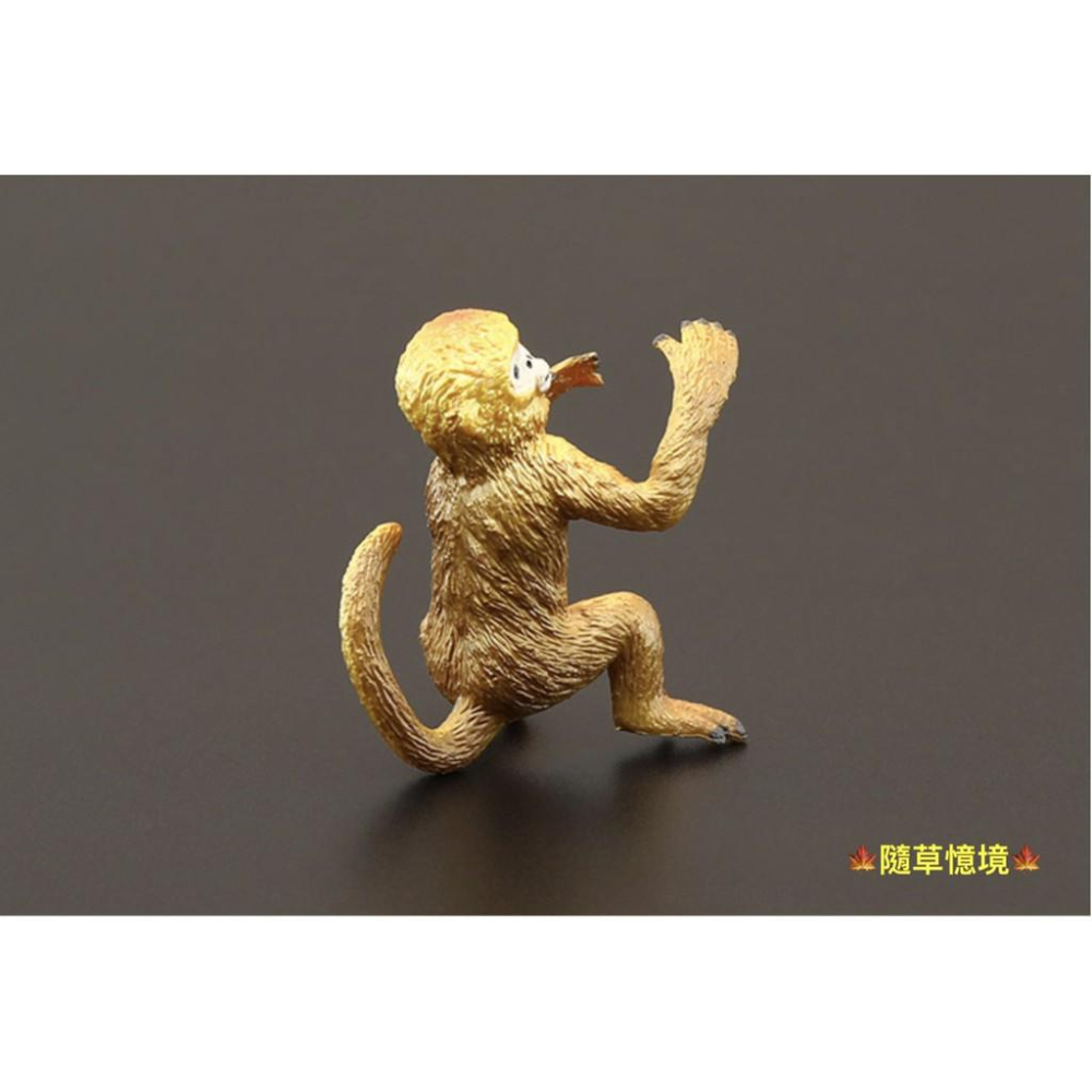 （高品質畫工）仿真 金絲猴 猴子 猴 靈長類 猿類 動物模型 野生動物 兒童玩具 益智 公仔 SPG-細節圖8