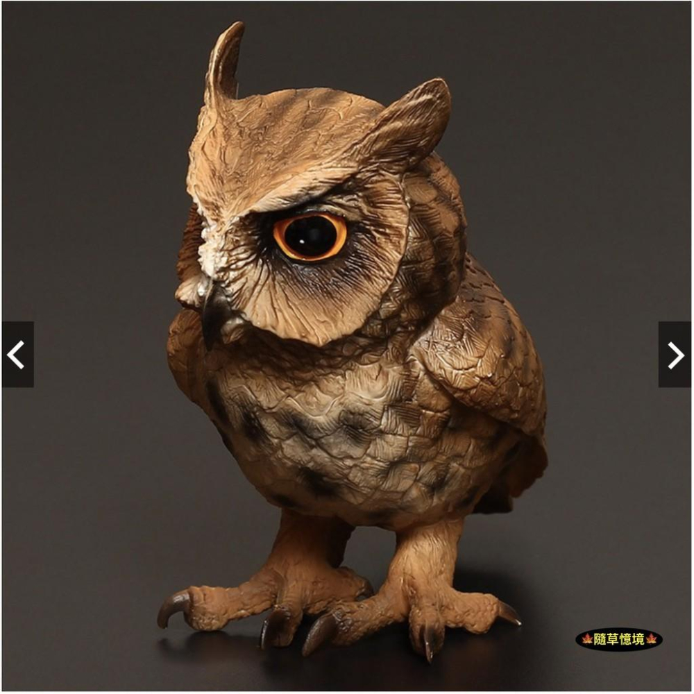 （2色款高品質）仿真 大型 貓頭鷹 owl 暗公叫 夜行 鳥禽 動物模型 野生動物 兒童玩具 益智 SPG-細節圖4